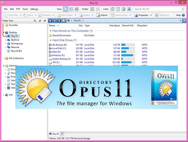 directory opus 12 license